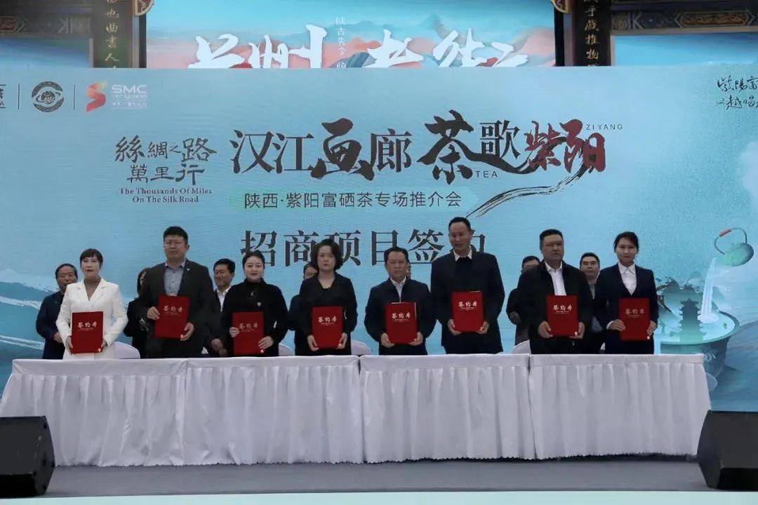 紫阳茶叶富硒茶怎么样喝（紫阳富硒茶泡出来什么颜色）-硒宝网