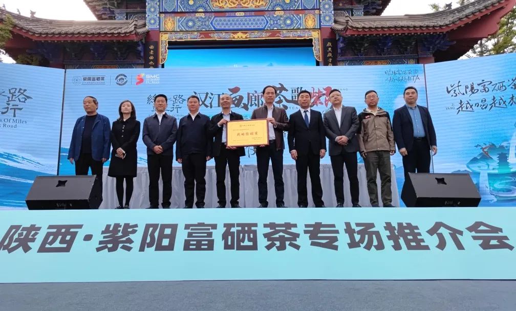 紫阳茶叶富硒茶怎么样喝（紫阳富硒茶泡出来什么颜色）-硒宝网