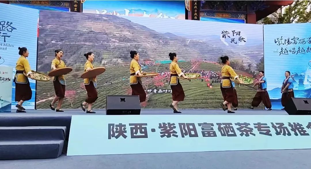 紫阳茶叶富硒茶怎么样喝（紫阳富硒茶泡出来什么颜色）-硒宝网