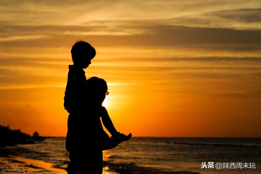 陕青与紫阳富硒茶哪个好(紫阳富硒茶陕南特产价格)-硒宝网