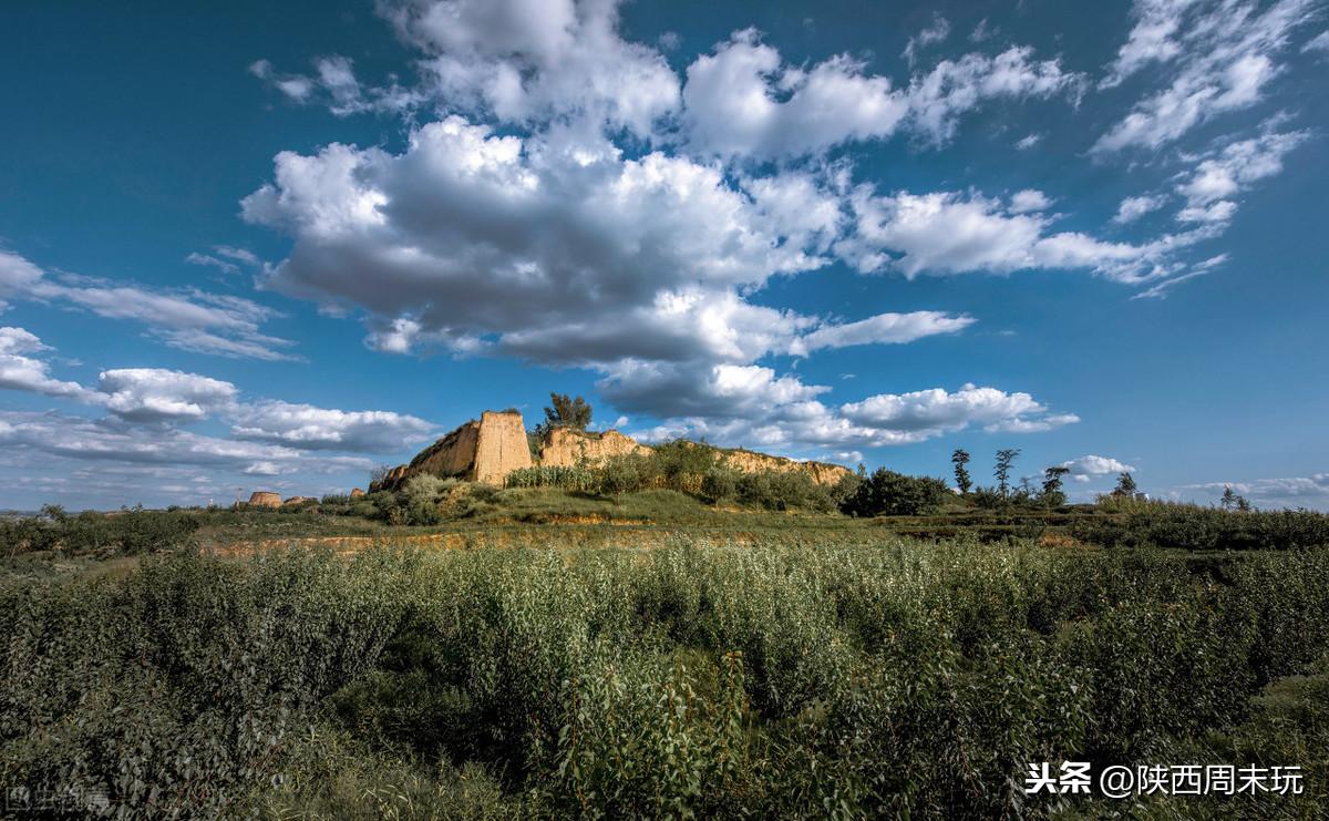 陕青与紫阳富硒茶哪个好(紫阳富硒茶陕南特产价格)-硒宝网