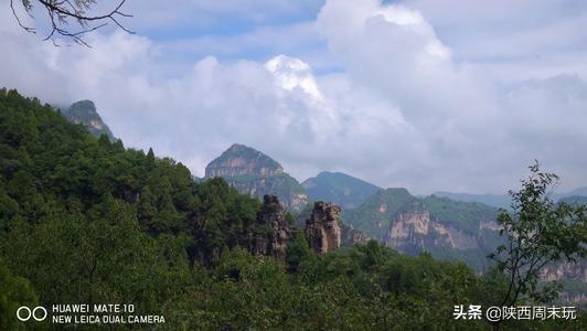 陕青与紫阳富硒茶哪个好(紫阳富硒茶陕南特产价格)-硒宝网