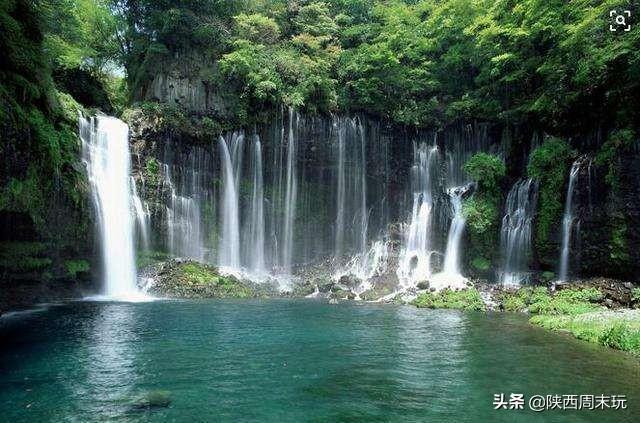 陕青与紫阳富硒茶哪个好(紫阳富硒茶陕南特产价格)-硒宝网