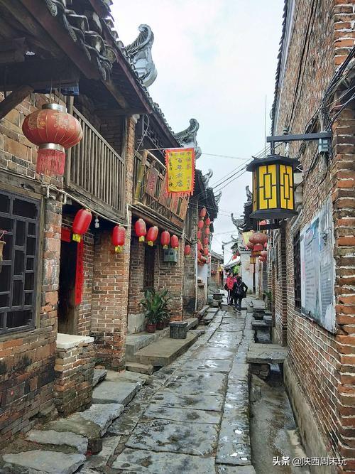 陕青与紫阳富硒茶哪个好(紫阳富硒茶陕南特产价格)-硒宝网