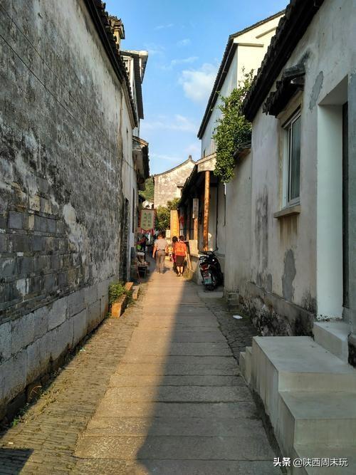 陕青与紫阳富硒茶哪个好(紫阳富硒茶陕南特产价格)-硒宝网