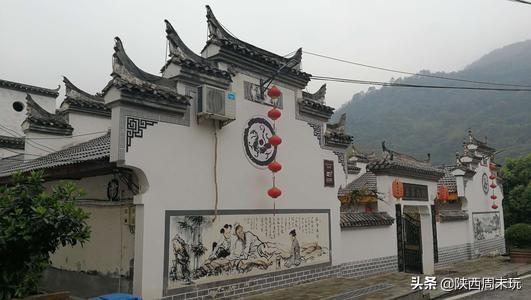 陕青与紫阳富硒茶哪个好(紫阳富硒茶陕南特产价格)-硒宝网