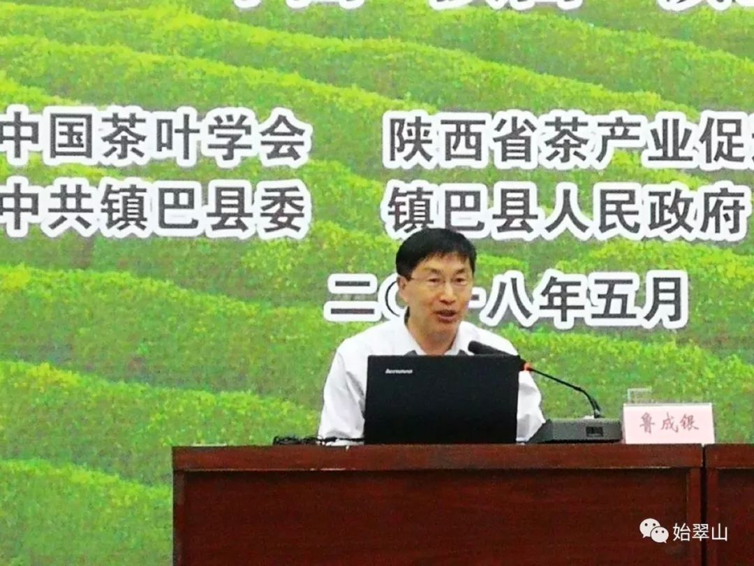 陕西富硒茶喝了有什么用(陕西富硒茶多少钱一斤)-硒宝网