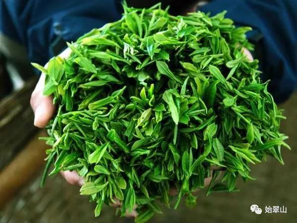 陕西富硒茶喝了有什么用(陕西富硒茶多少钱一斤)-硒宝网