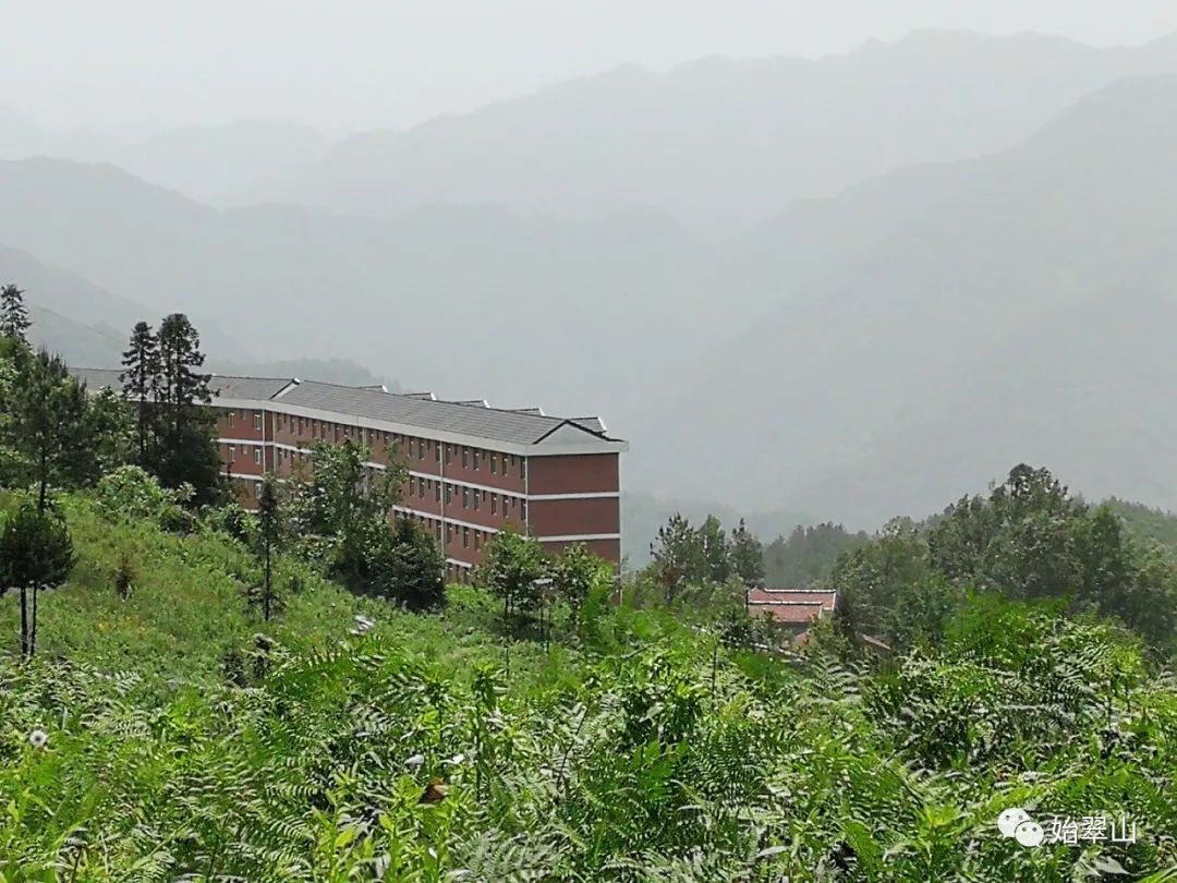 陕西富硒茶喝了有什么用(陕西富硒茶多少钱一斤)-硒宝网