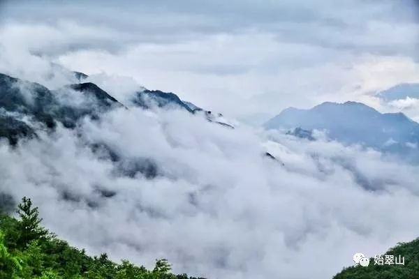 陕西富硒茶喝了有什么用(陕西富硒茶多少钱一斤)-硒宝网