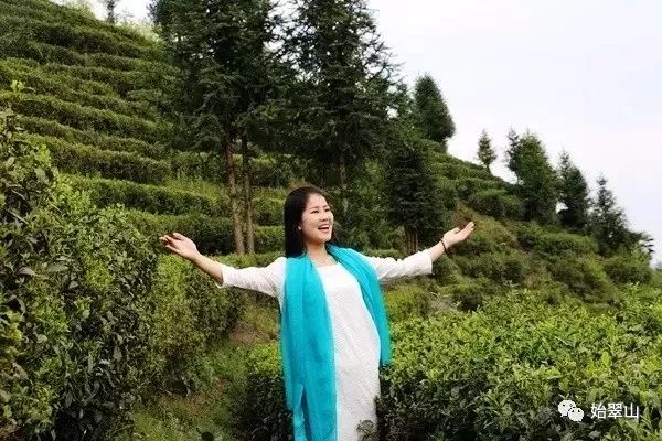 陕西富硒茶喝了有什么用(陕西富硒茶多少钱一斤)-硒宝网