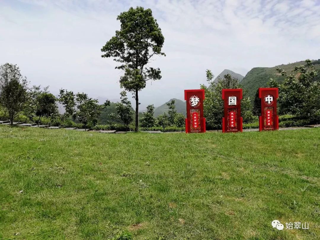 陕西富硒茶喝了有什么用(陕西富硒茶多少钱一斤)-硒宝网