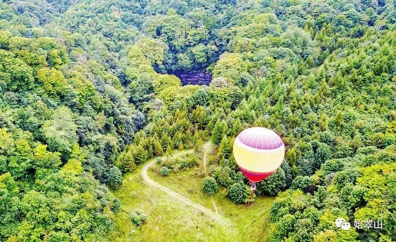 陕西富硒茶喝了有什么用(陕西富硒茶多少钱一斤)-硒宝网