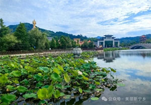 太子念富硒茶好吗怎么样（太子茶气日常）-硒宝网