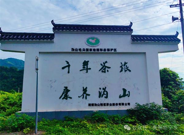 太子念富硒茶好吗怎么样（太子茶气日常）-硒宝网