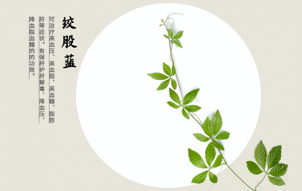 陕青与紫阳富硒茶哪个好(陕西紫阳富硒茶是红茶还是绿茶)-硒宝网