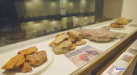 富硒茶用什么泡的更好些(泡茶富硒好用不)-硒宝网