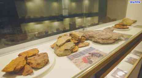 富硒茶用什么泡的更好些(泡茶富硒好用不)-硒宝网