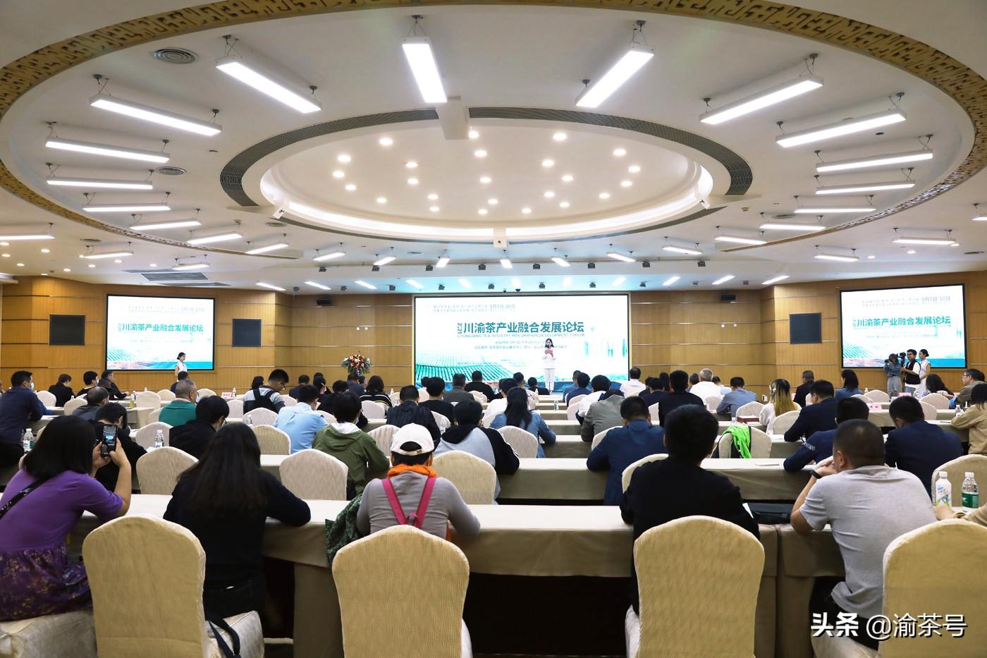 重庆万州富硒茶哪里有卖（重庆富硒的地方有哪些）-硒宝网