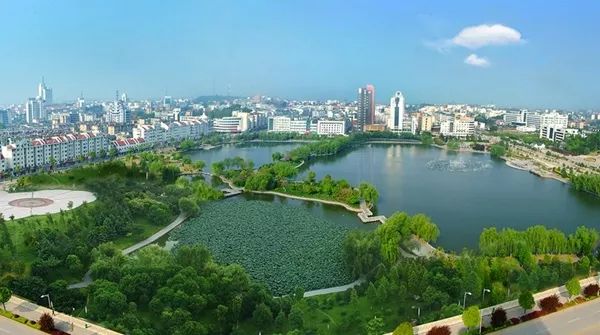 安徽秋浦富硒茶是真的吗（安徽富硒茶产地）-硒宝网