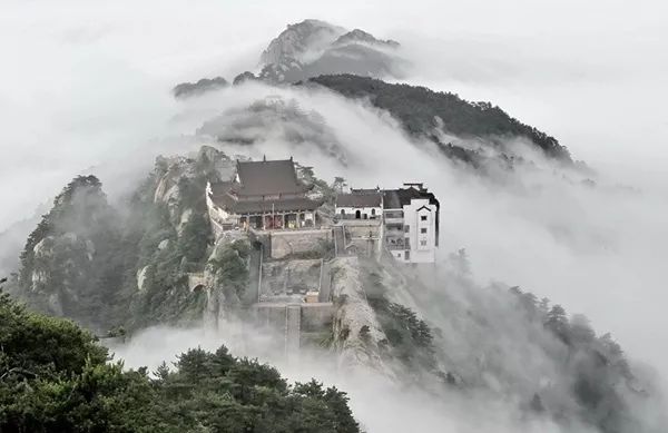 安徽秋浦富硒茶是真的吗（安徽富硒茶产地）-硒宝网