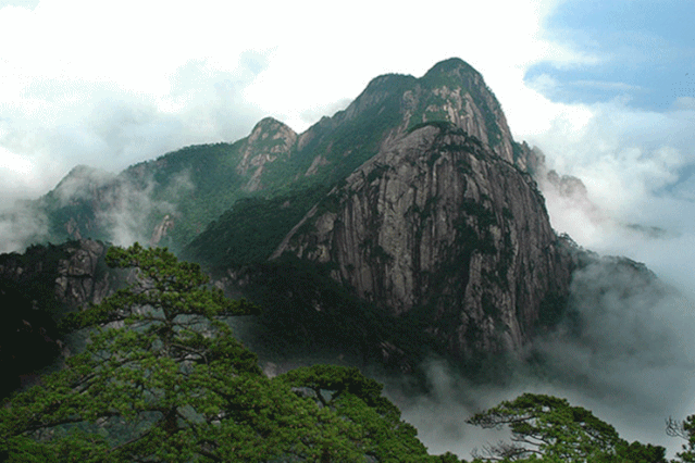 安徽秋浦富硒茶是真的吗（安徽富硒茶产地）-硒宝网