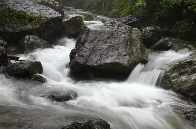 安徽秋浦富硒茶是真的吗（安徽富硒茶产地）-硒宝网
