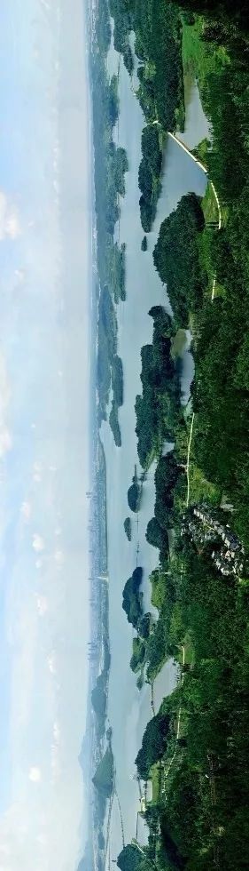 安徽秋浦富硒茶是真的吗（安徽富硒茶产地）-硒宝网