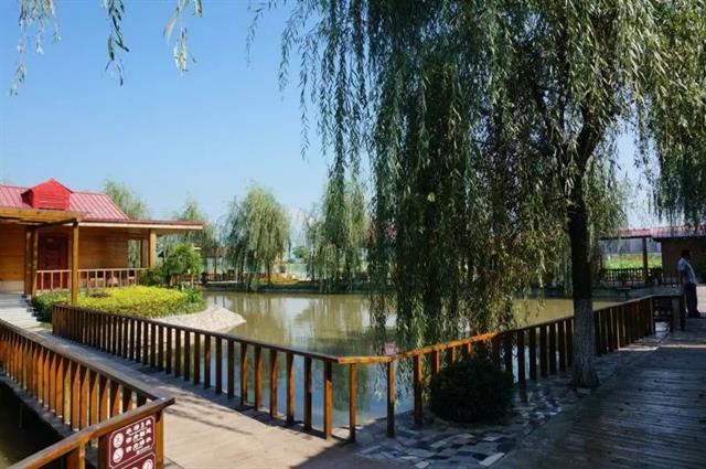 安徽秋浦富硒茶是真的吗（安徽富硒茶产地）-硒宝网