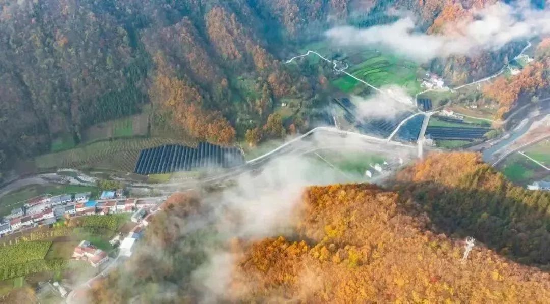 陕西安康龙腾紫阳富硒茶（陕西安康龙腾富硒食品有限公司）-硒宝网