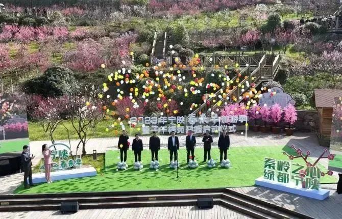 陕西安康龙腾紫阳富硒茶（陕西安康龙腾富硒食品有限公司）-硒宝网