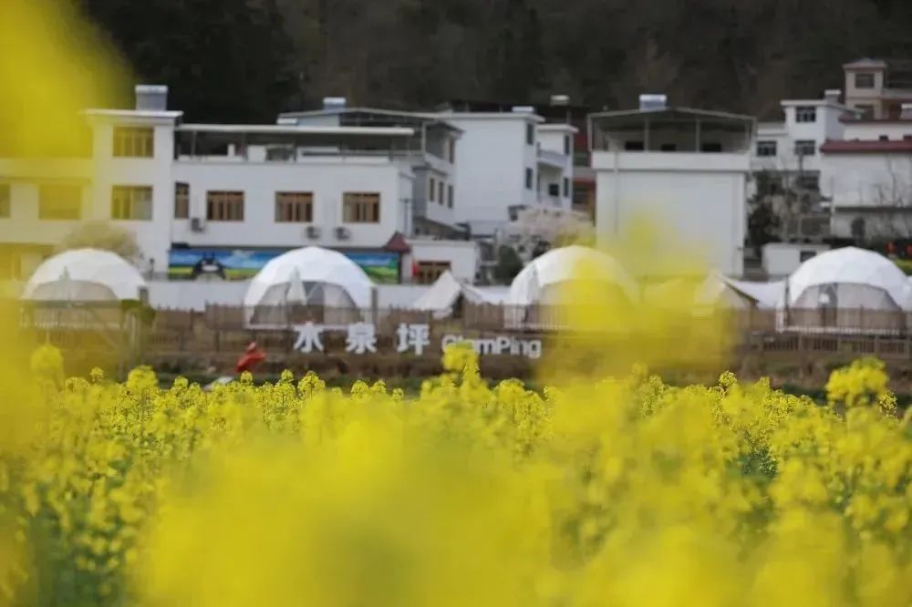 陕西安康龙腾紫阳富硒茶（陕西安康龙腾富硒食品有限公司）-硒宝网