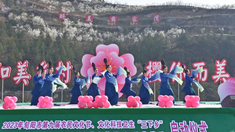 陕西安康龙腾紫阳富硒茶（陕西安康龙腾富硒食品有限公司）-硒宝网