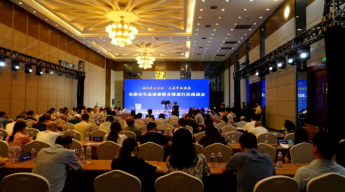 陕西安康龙腾紫阳富硒茶（陕西安康龙腾富硒食品有限公司）-硒宝网