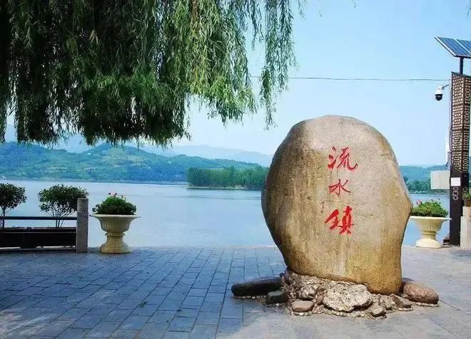 陕西安康龙腾紫阳富硒茶（陕西安康龙腾富硒食品有限公司）-硒宝网