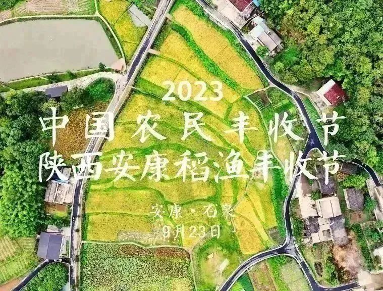 陕西安康龙腾紫阳富硒茶（陕西安康龙腾富硒食品有限公司）-硒宝网