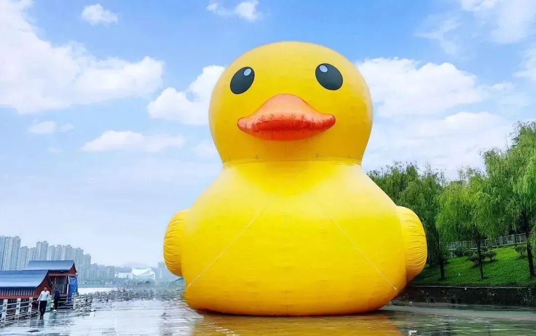 陕西安康龙腾紫阳富硒茶（陕西安康龙腾富硒食品有限公司）-硒宝网