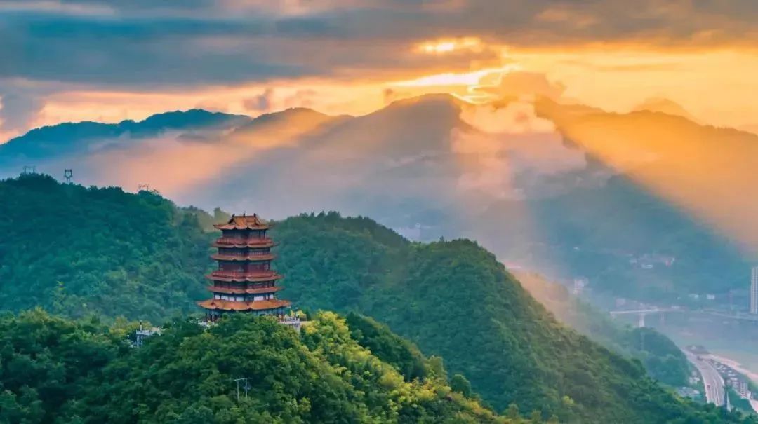 陕西安康龙腾紫阳富硒茶（陕西安康龙腾富硒食品有限公司）-硒宝网