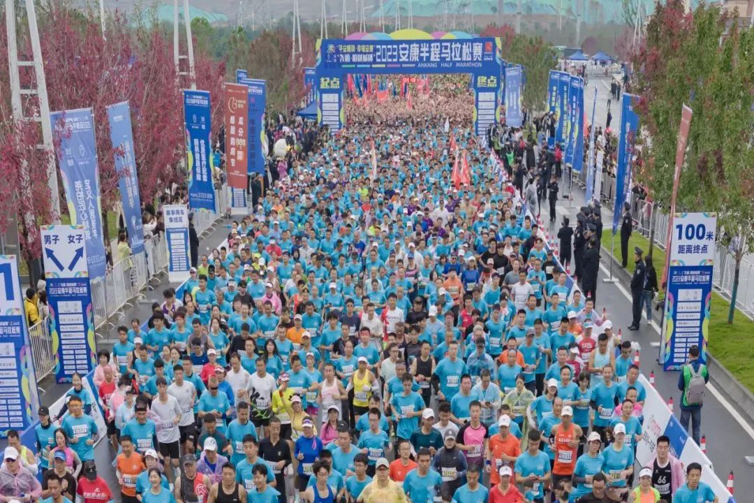 陕西安康龙腾紫阳富硒茶（陕西安康龙腾富硒食品有限公司）-硒宝网