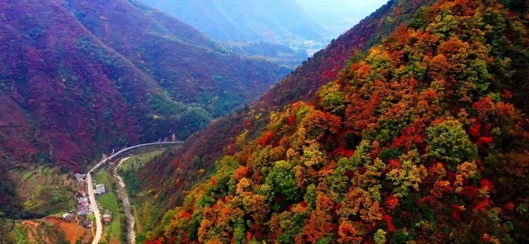 陕西安康龙腾紫阳富硒茶（陕西安康龙腾富硒食品有限公司）-硒宝网