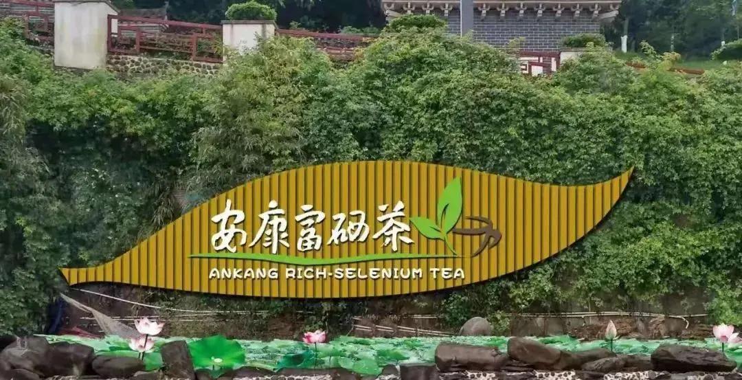 陕南特色富硒茶产业基地（陕硒茶园）-硒宝网