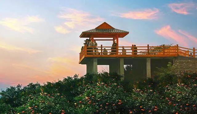 陕南特色富硒茶产业基地（陕硒茶园）-硒宝网