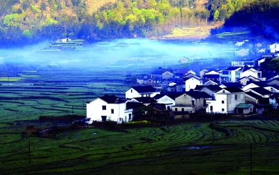 安徽秋浦富硒茶是真的吗(安徽池州富硒茶)-硒宝网