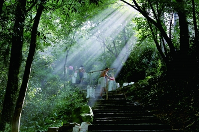 安徽秋浦富硒茶是真的吗(安徽池州富硒茶)-硒宝网