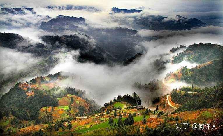 富硒茶如何去喝才最好呢（富硒的茶喝了有什么好处）-硒宝网