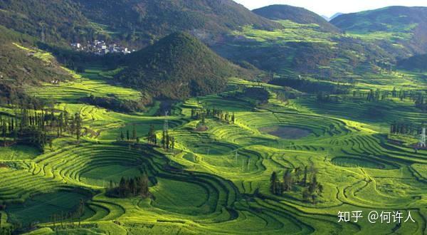 富硒茶如何去喝才最好呢（富硒的茶喝了有什么好处）-硒宝网