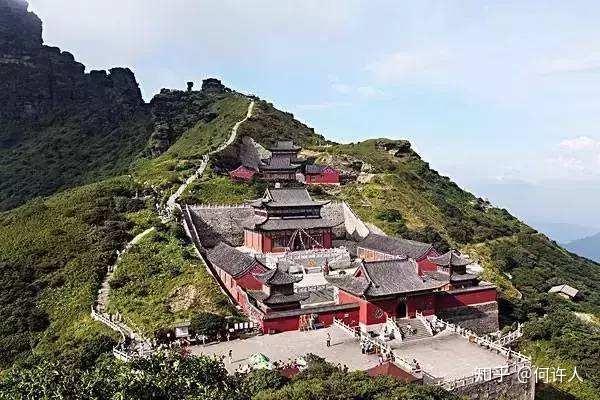 富硒茶如何去喝才最好呢（富硒的茶喝了有什么好处）-硒宝网