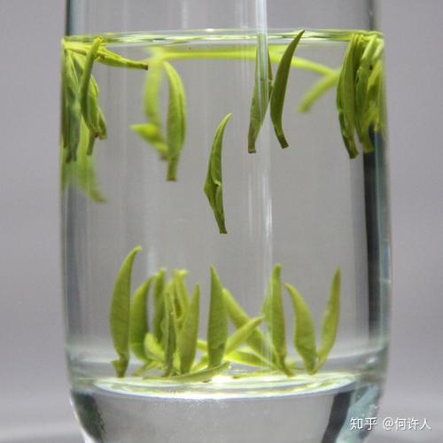 富硒茶如何去喝才最好呢（富硒的茶喝了有什么好处）-硒宝网