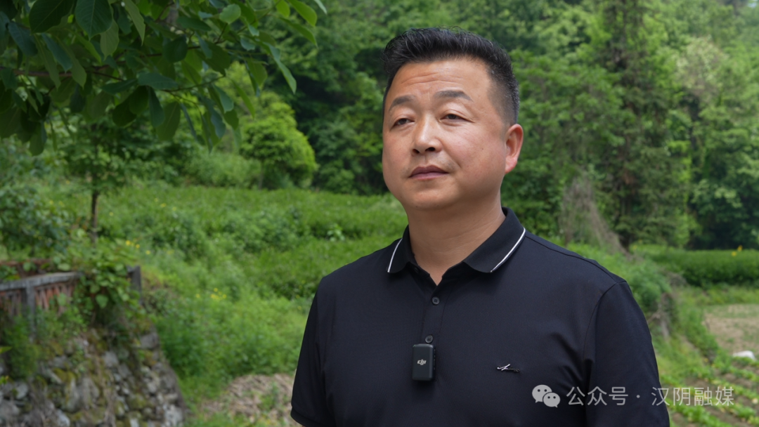 汉阴哪里有富硒茶卖的?。ê阂醺晃杞樯埽?硒宝网