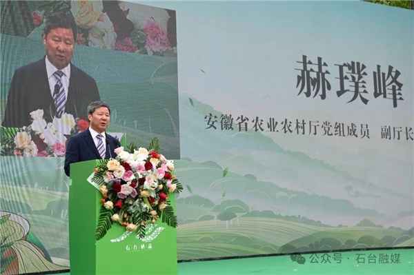 安徽石台县富硒茶的好处(石台特产富硒茶价格)-硒宝网